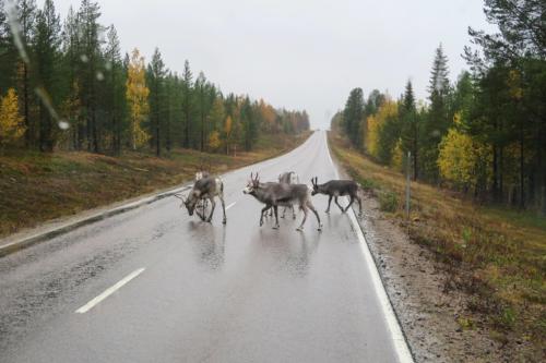 Finsko - Kilpisjärvi